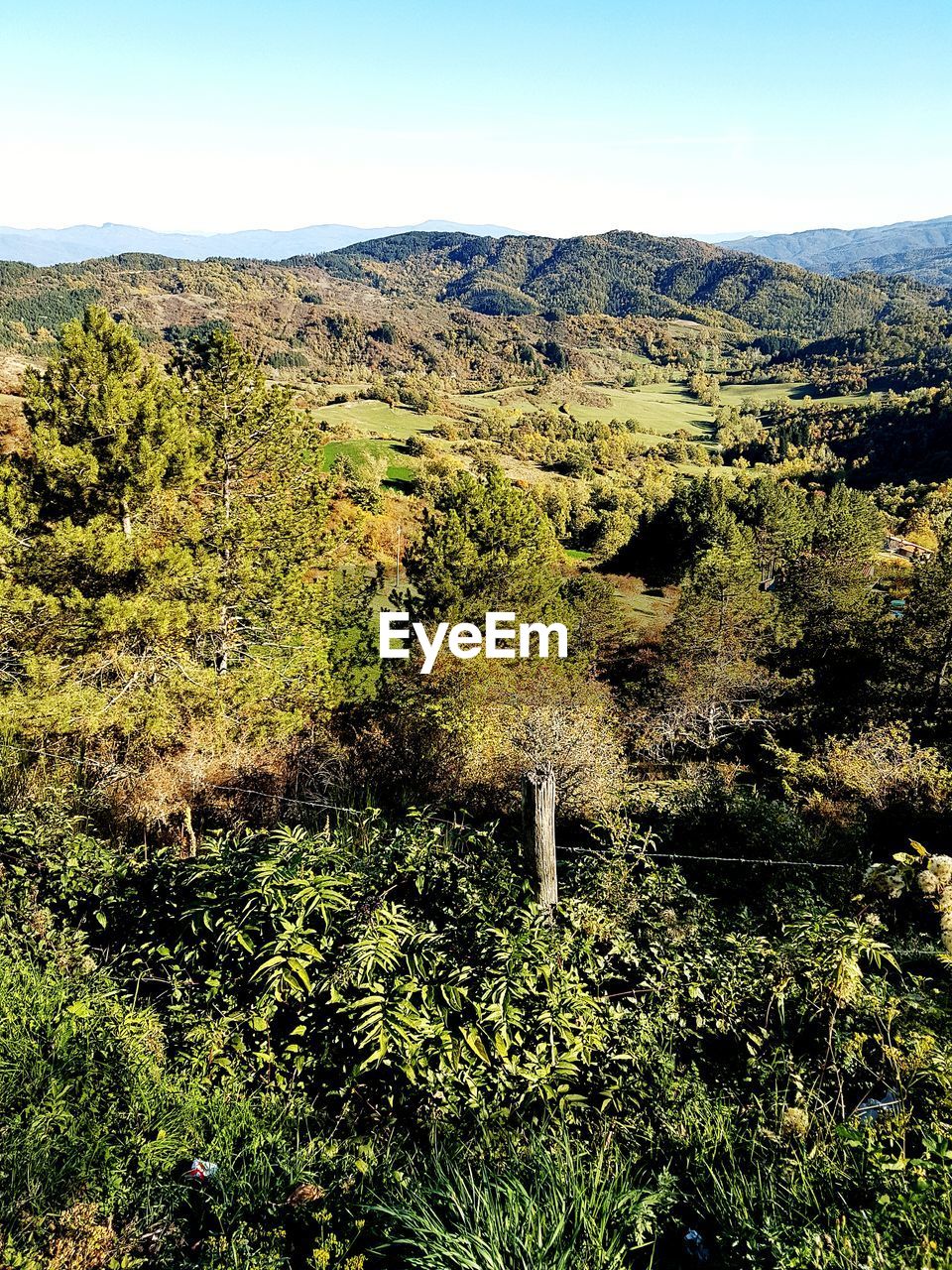 SCENIC VIEW OF TREE MOUNTAINS AGAINST SKY