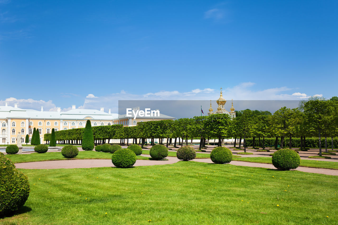 VIEW OF GARDEN AGAINST SKY