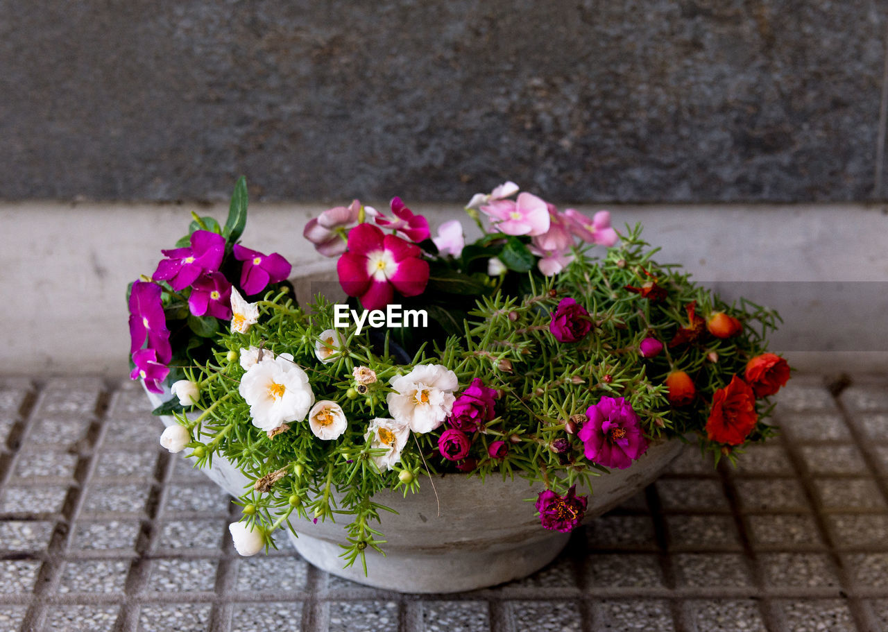 High angle view of pink flower pot