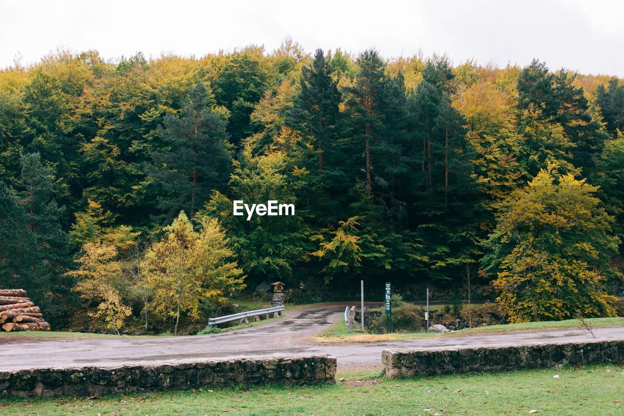 Scenic view of field by trees against sky