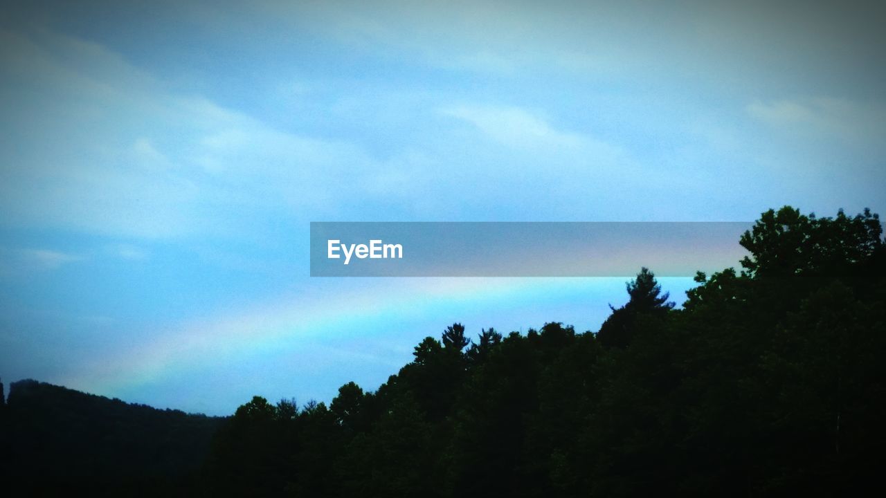 Idyllic rainbow over silhouette trees