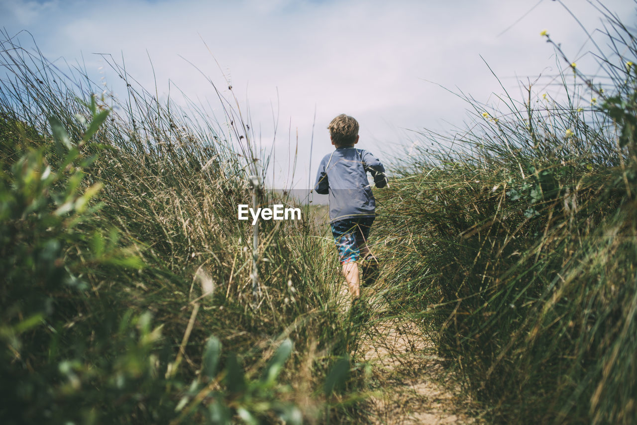 Rear view of boy running on field amidst plants at a_o nuevo state park