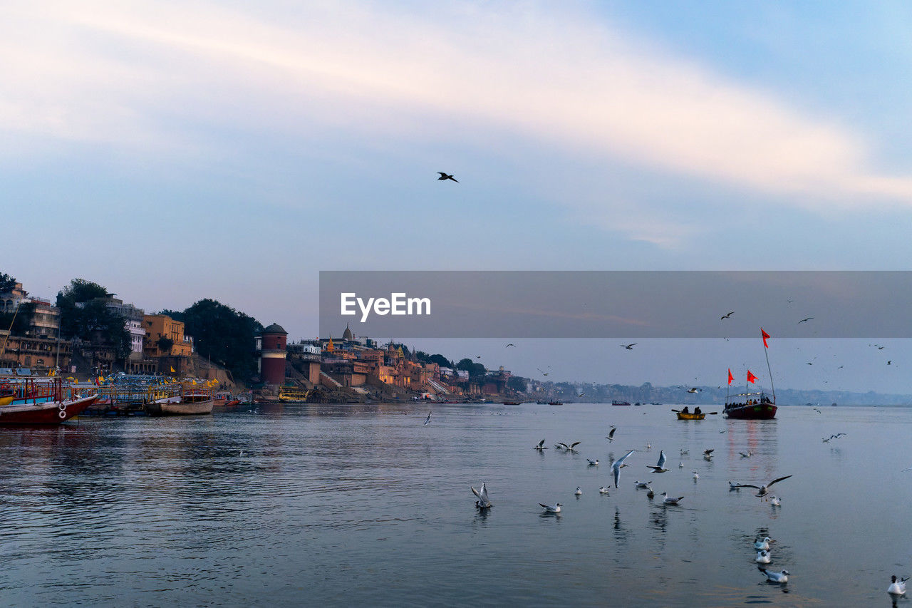 high angle view of birds flying over river against sky during sunset