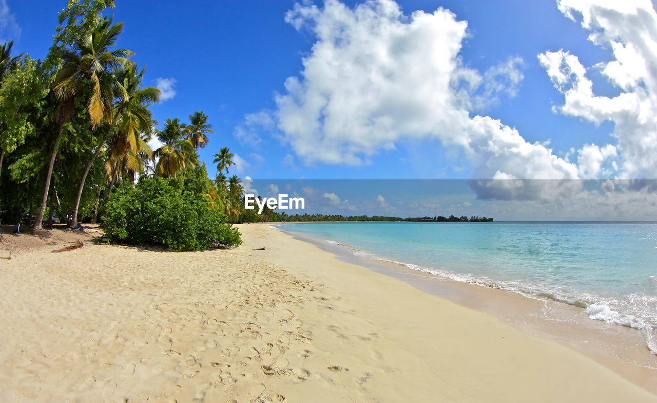 Scenic view of beach against sky