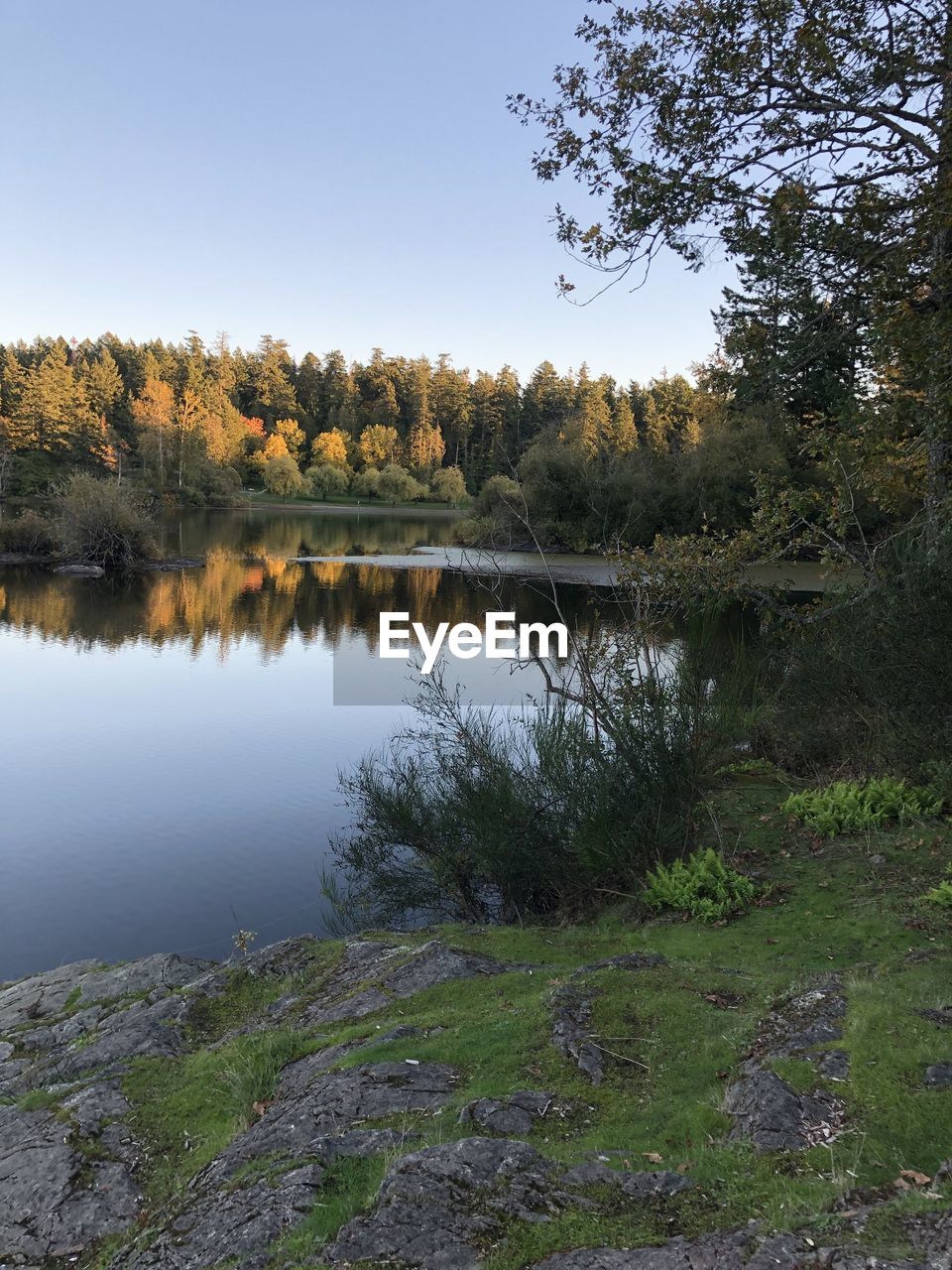 SCENIC VIEW OF LAKE AND TREES AGAINST SKY