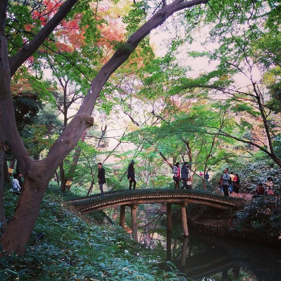 VIEW OF FOOTBRIDGE OVER RIVER