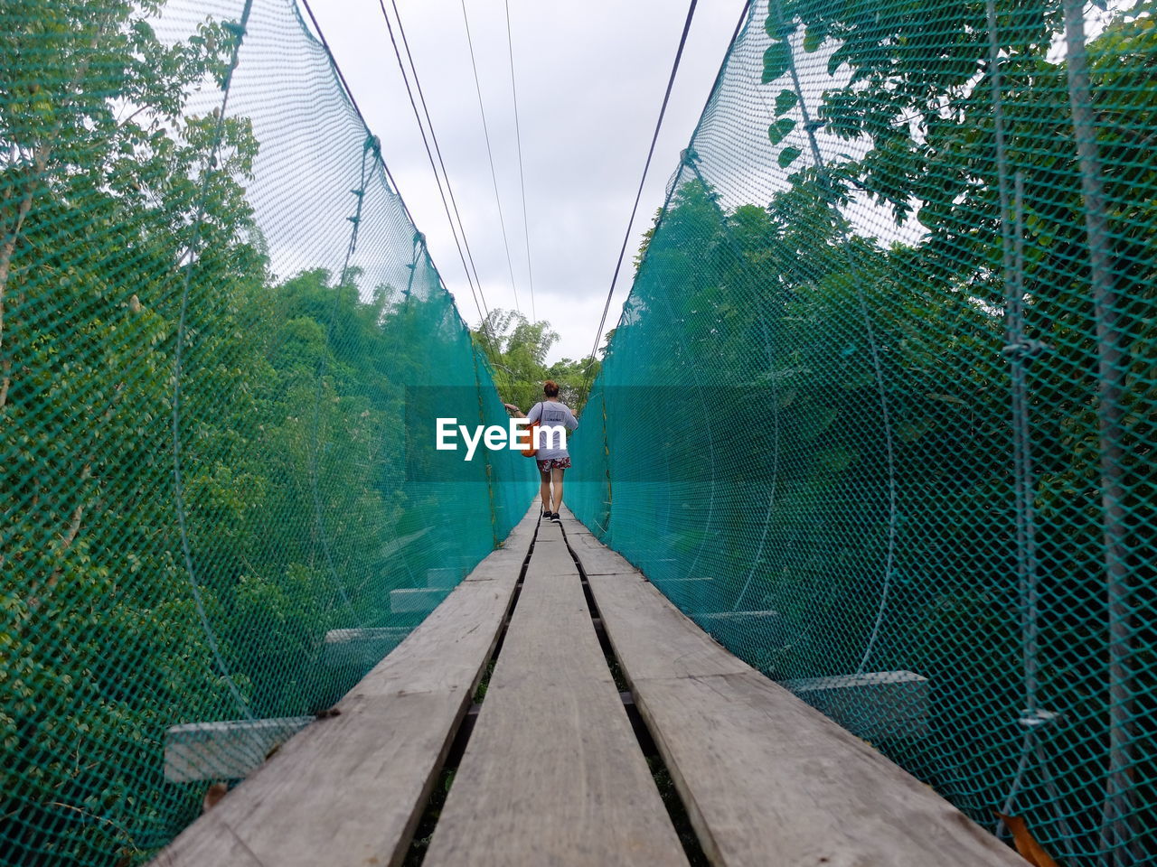 Rear view of woman walking on footbridge amidst trees in forest