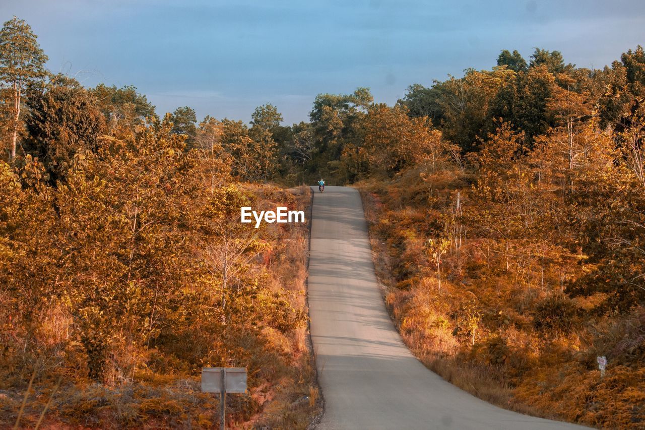 Footpath amidst trees against sky during autumn