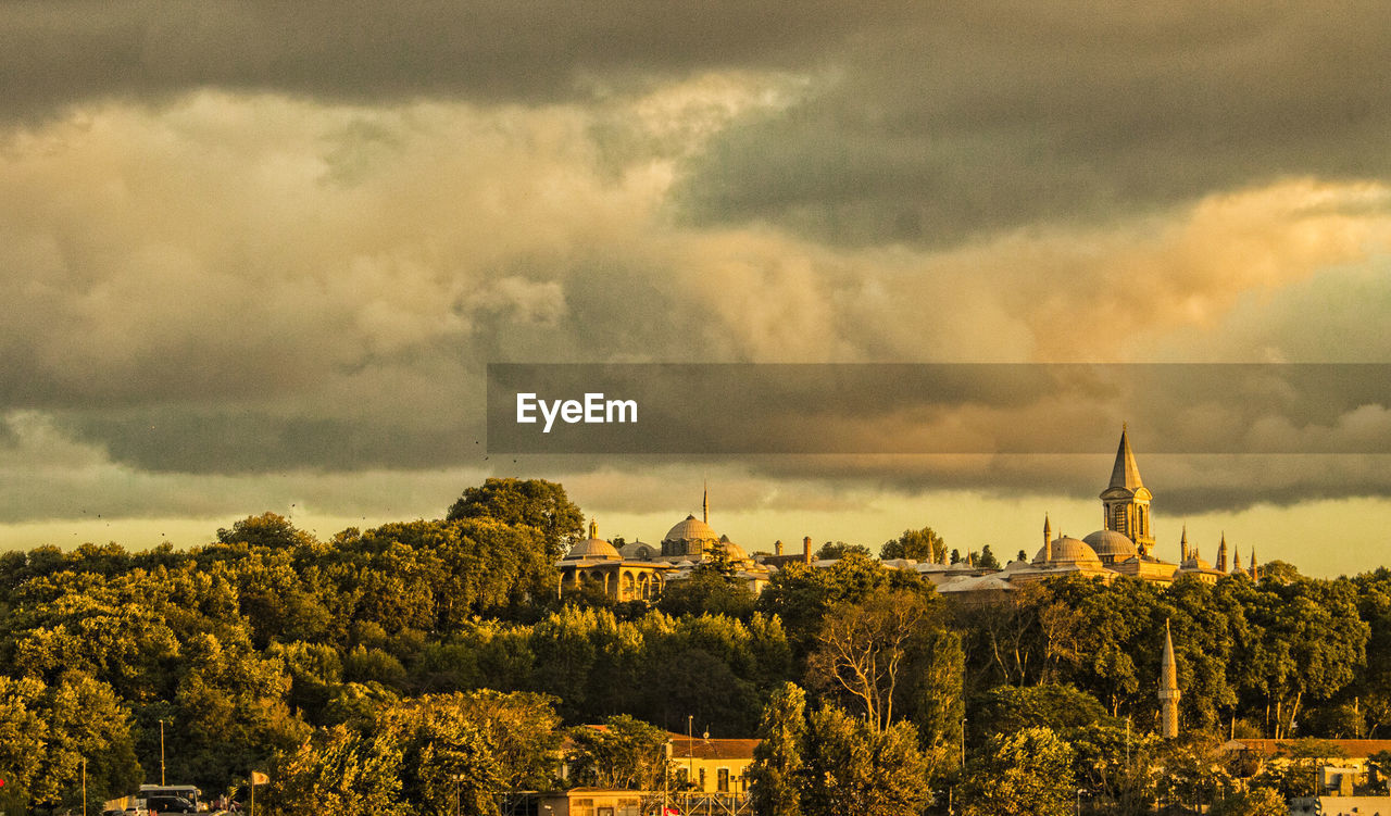 Panoramic view of trees and plants against dramatic sky