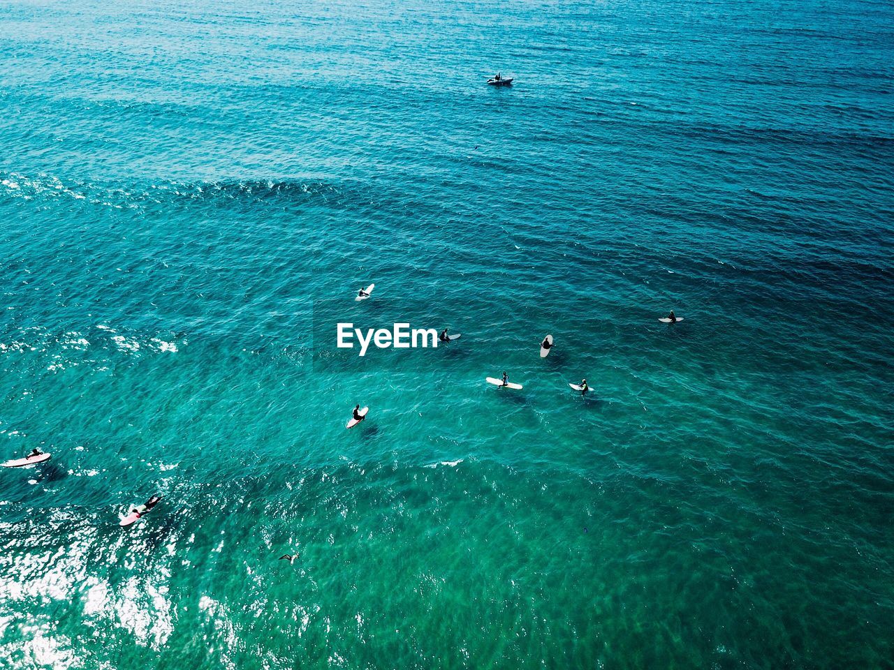 HIGH ANGLE VIEW OF BIRDS BY SEA AGAINST SKY