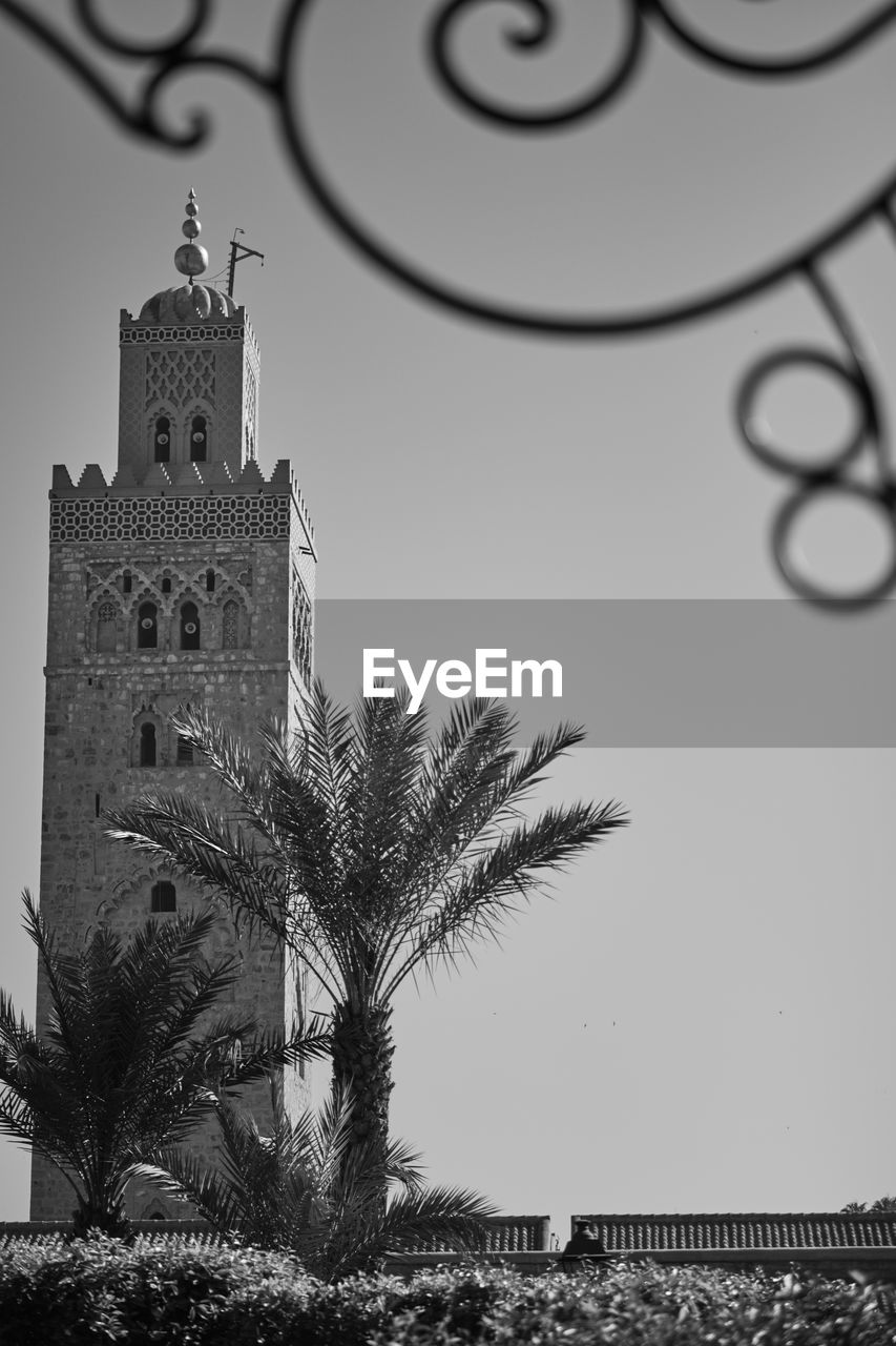 LOW ANGLE VIEW OF PALM TREE AGAINST SKY