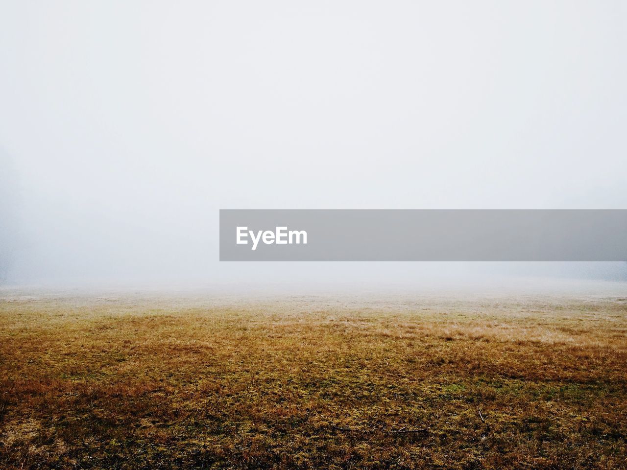 Landscape during foggy weather