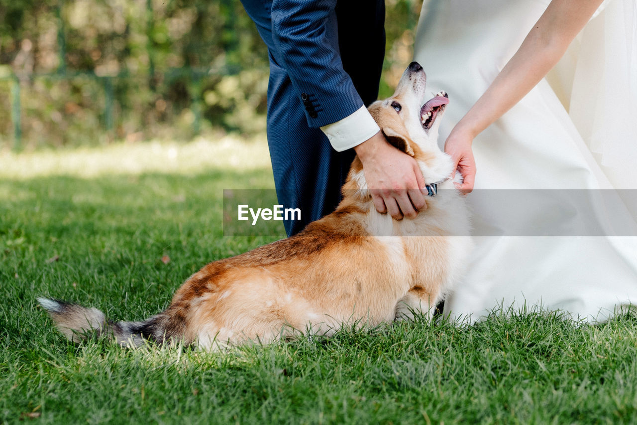 LOW SECTION OF PERSON WITH CAT ON GRASS
