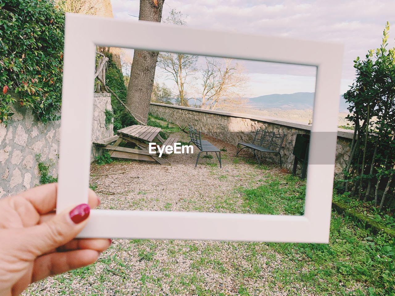 Cropped hand of woman holding picture frame in lawn