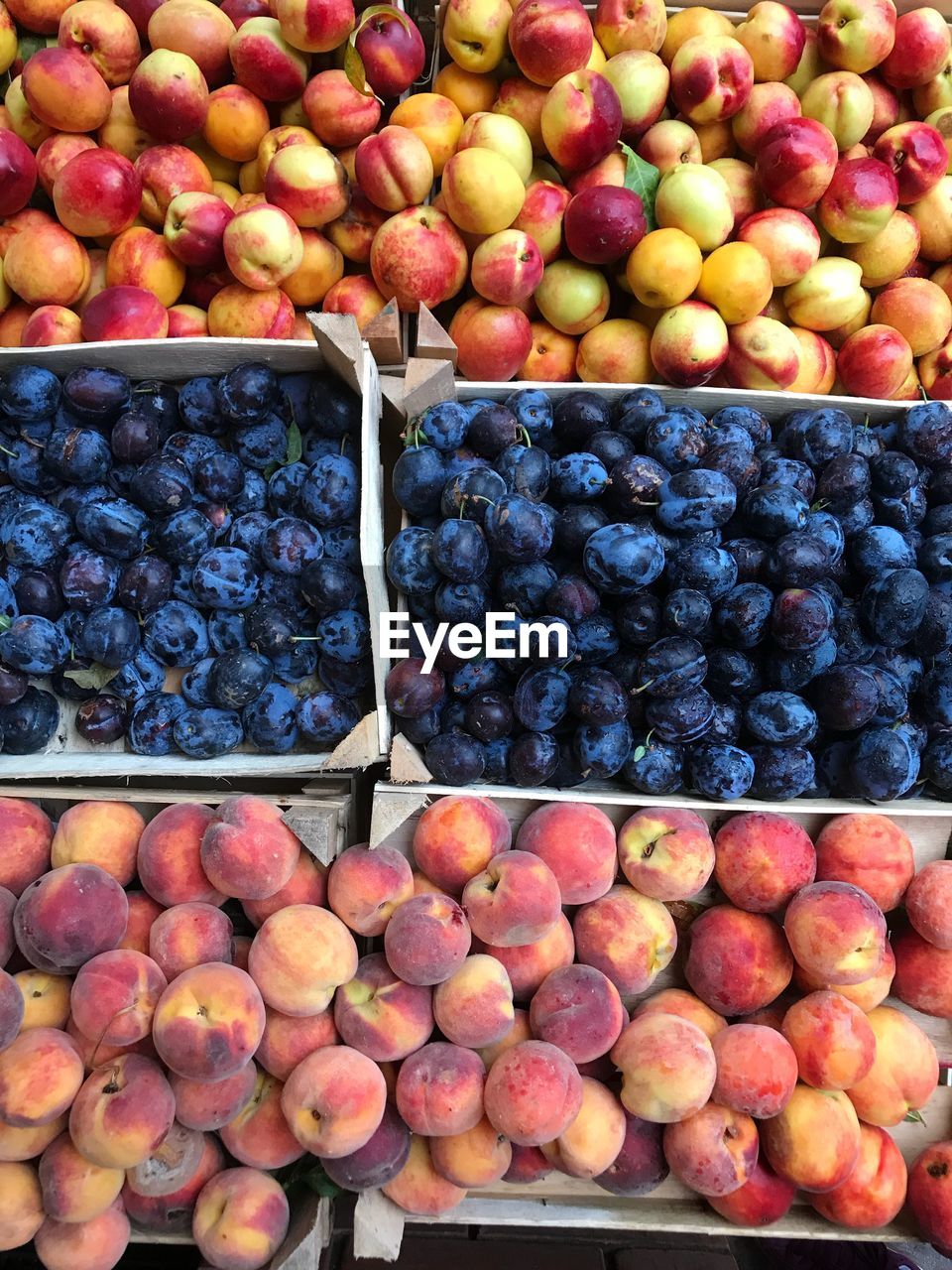 Peaches and nectarines and plums from above