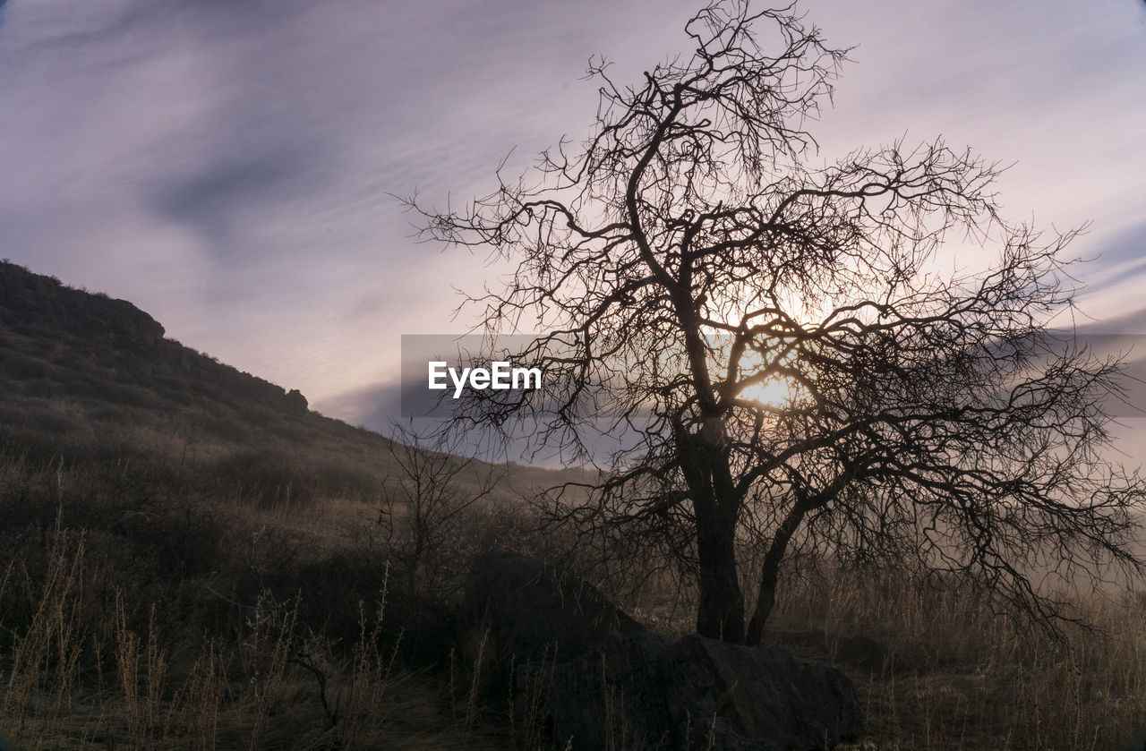 Scenic view of landscape against cloudy sky