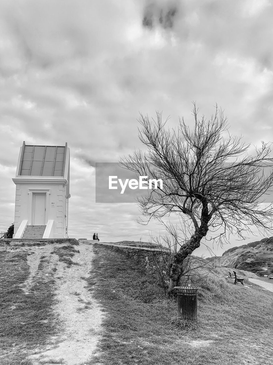 Bare tree by building against sky