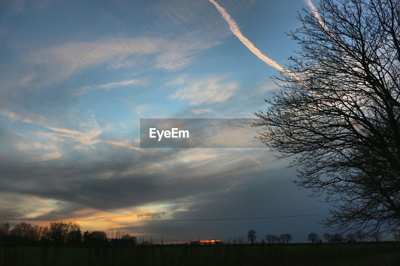 TREES ON FIELD AGAINST CLOUDY SKY AT SUNSET