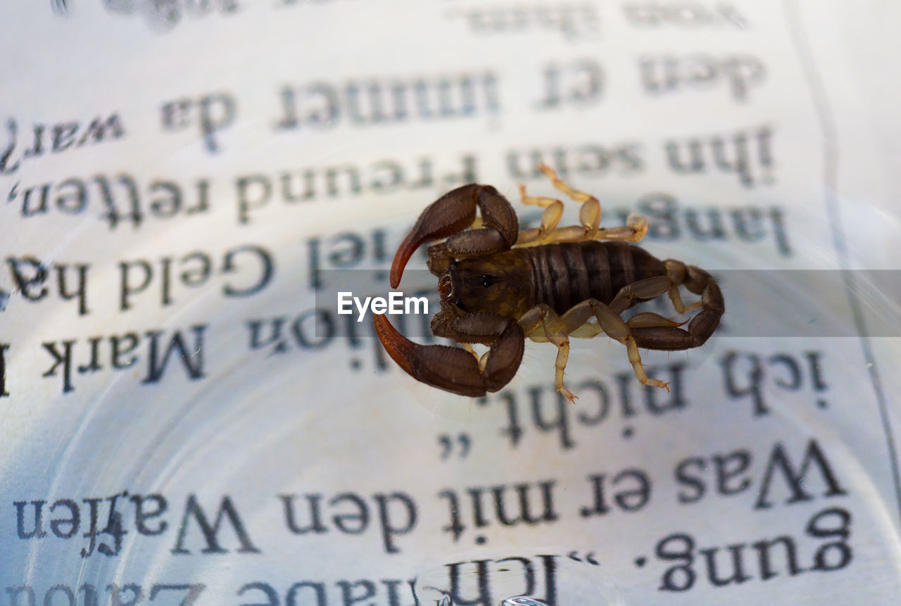 CLOSE-UP OF A TEXT ON A BOOK