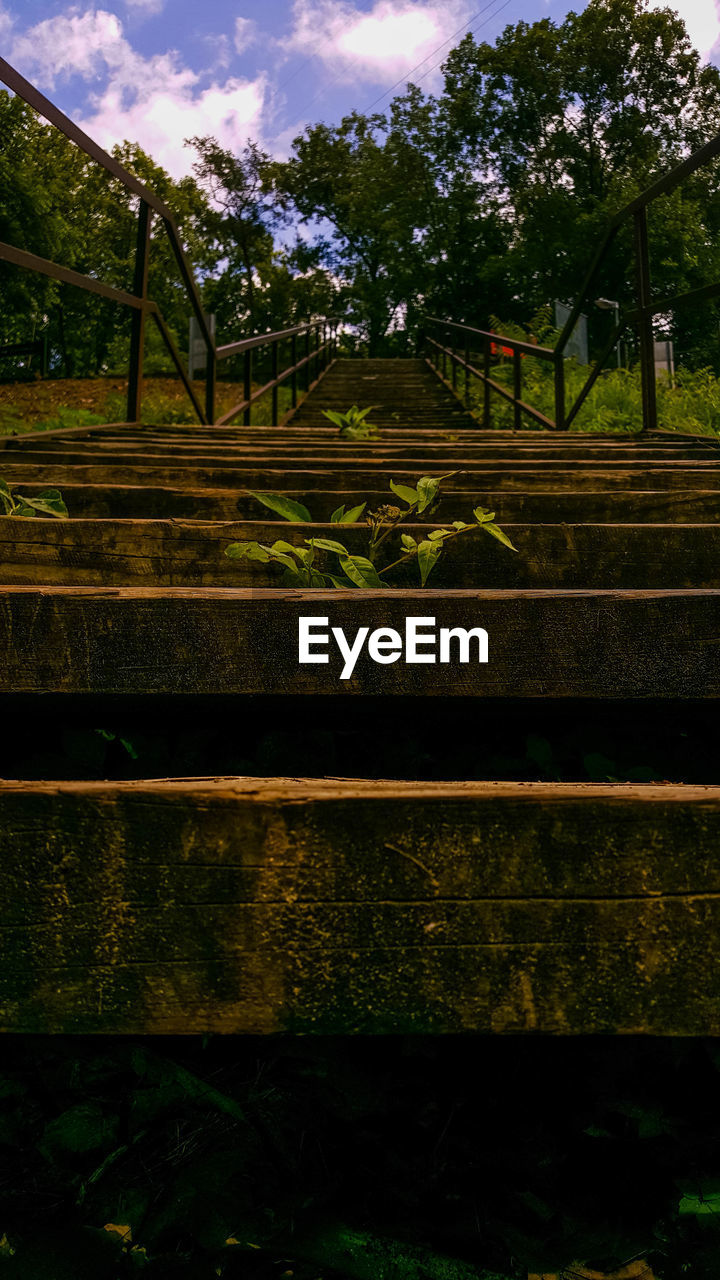 Trees growing in farm against sky