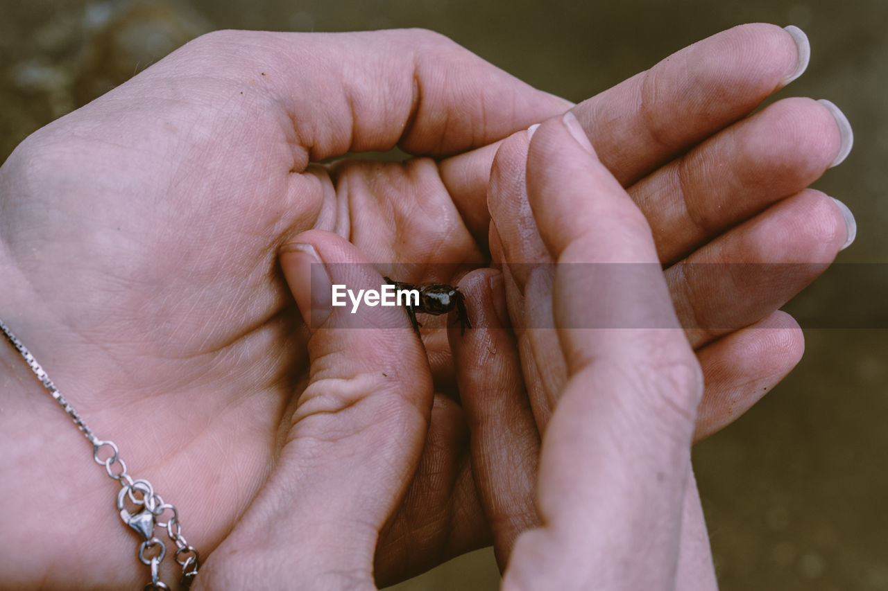 Close-up of couple holding hands