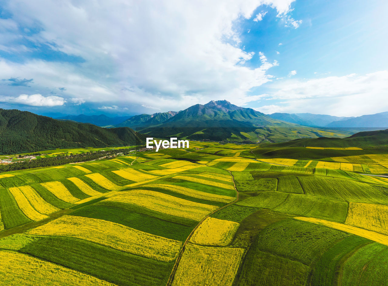 Scenic view of agricultural field against sky