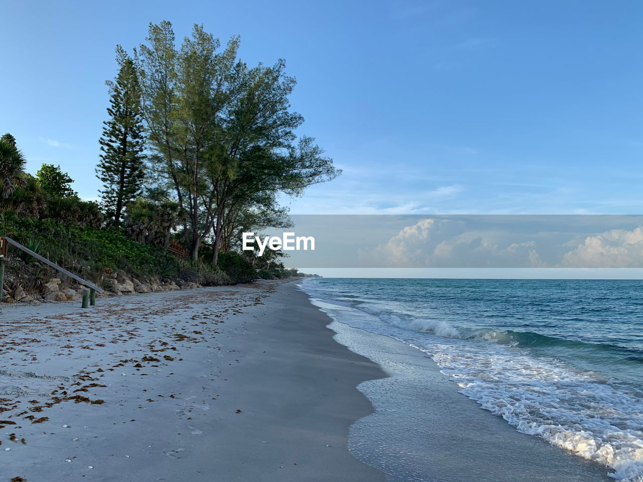 SCENIC VIEW OF BEACH AGAINST BLUE SKY