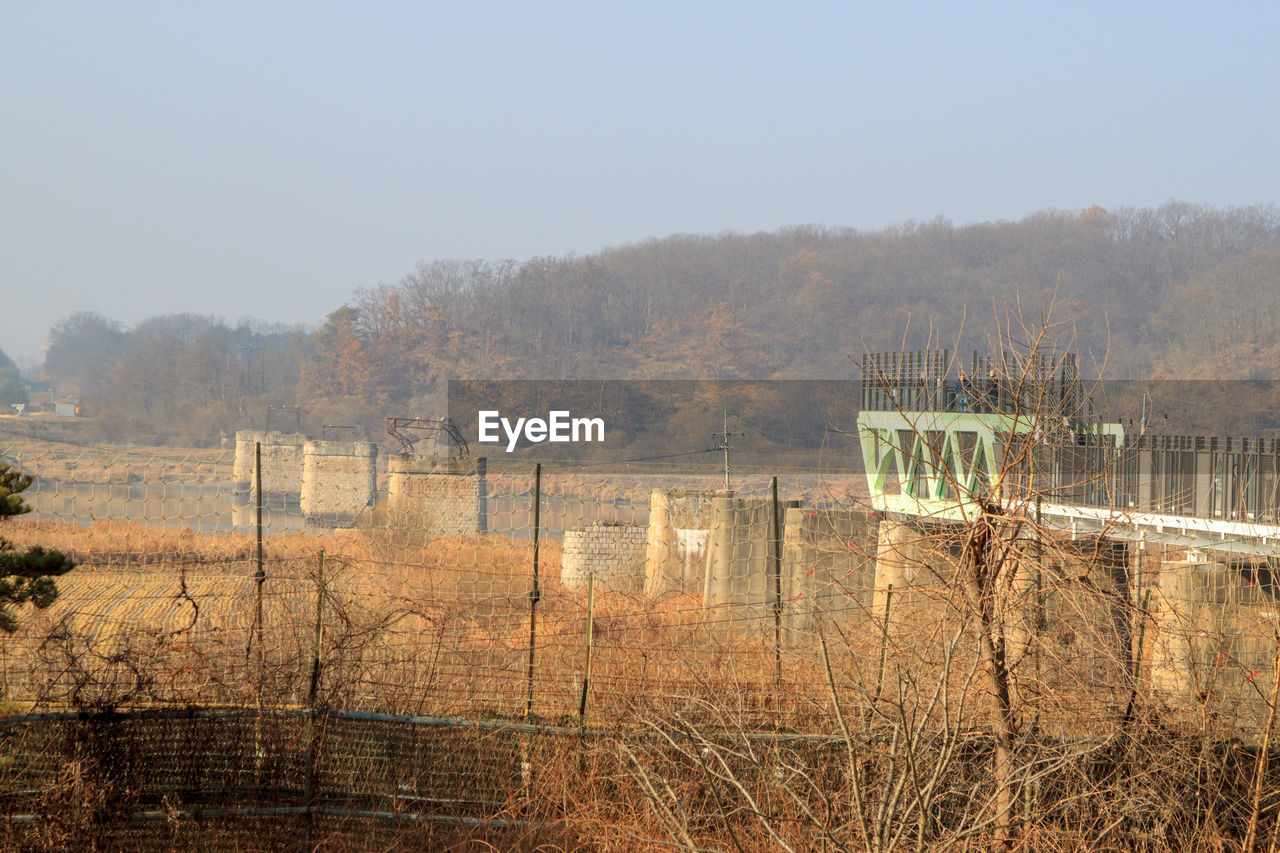 VIEW OF TREES ON FIELD AGAINST SKY