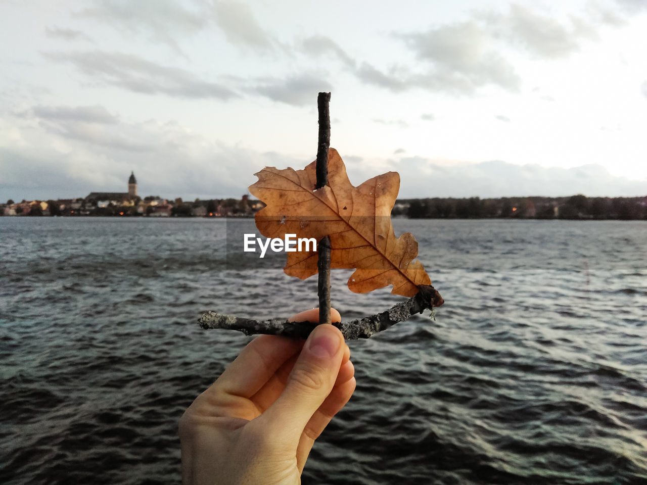 CROPPED IMAGE OF PERSON HOLDING LEAF AGAINST SEA