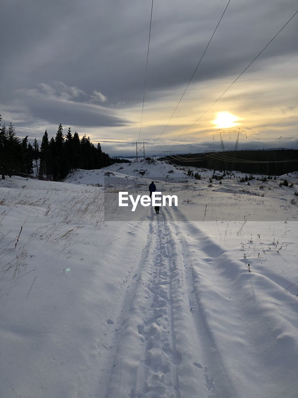 SCENIC VIEW OF SNOW COVERED FIELD AGAINST SKY