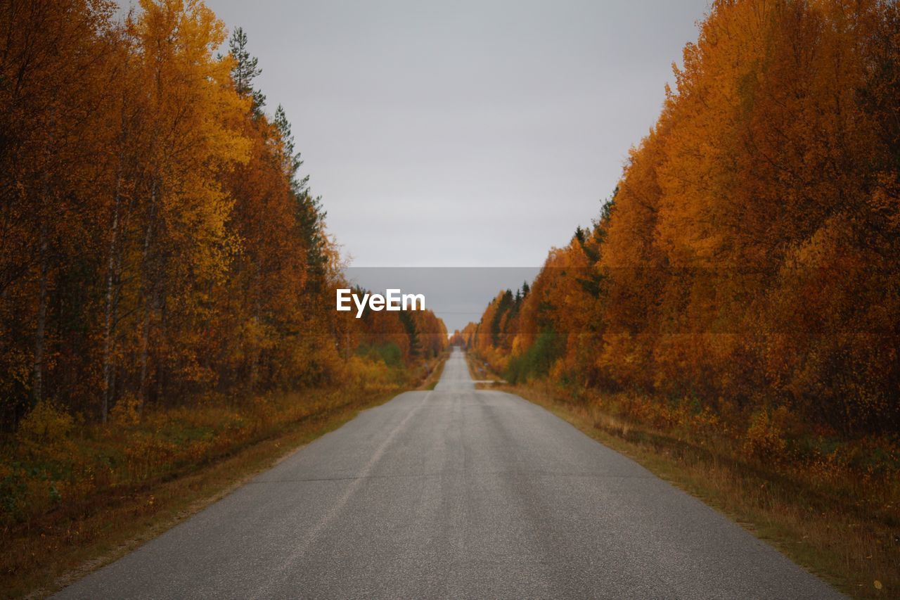 Road amidst trees during autumn against sky