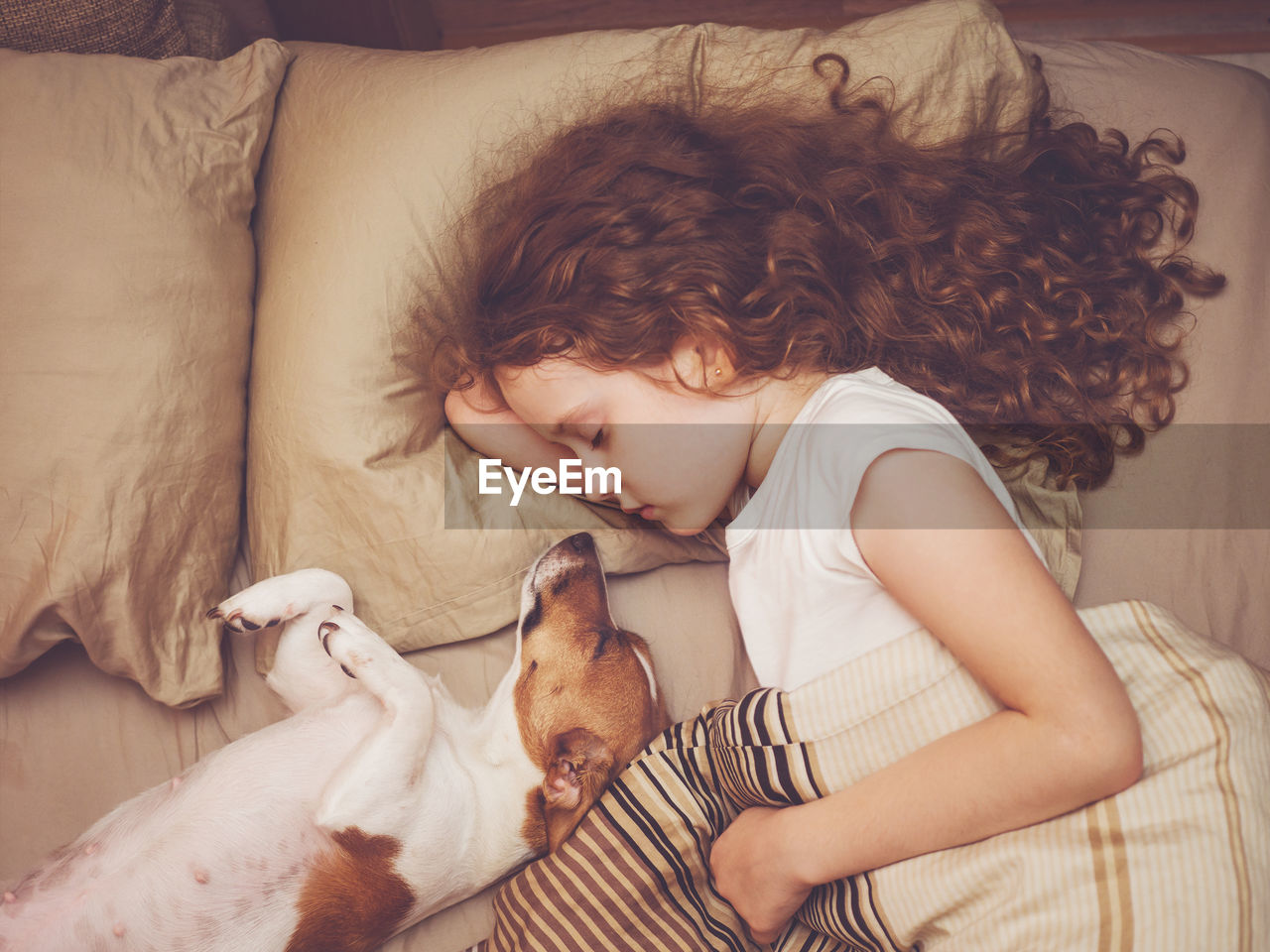 Sweet curly girl and jack russell dog is sleeping in night.