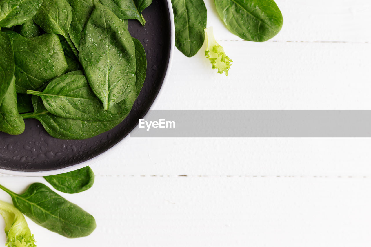 Bowl with fresh green salad leaves, spinach, lettuce, basil on a white background. healthy eating