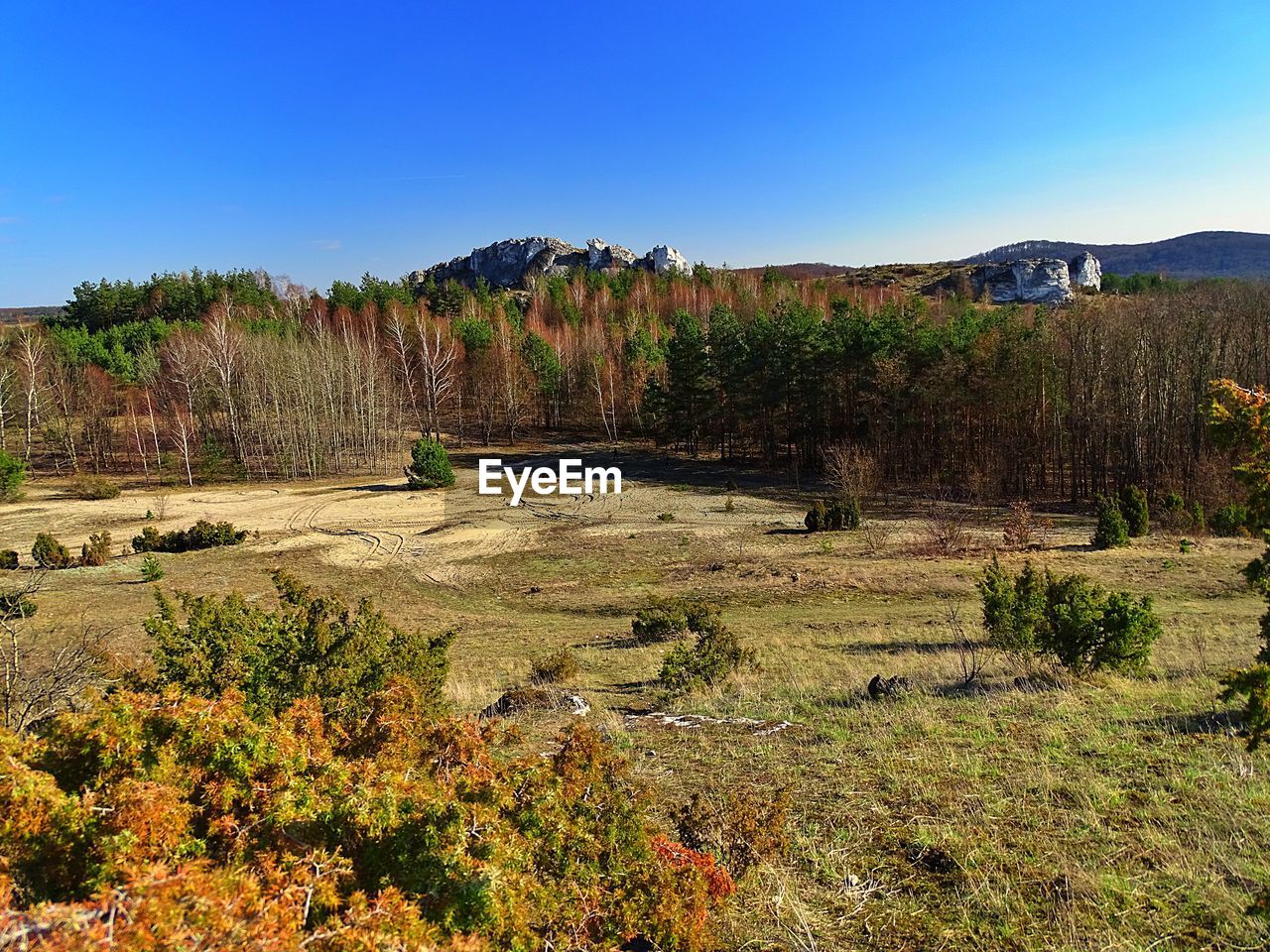 Scenic view of landscape against clear blue sky