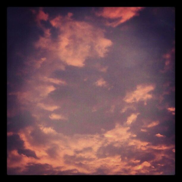 SILHOUETTE OF TREES AGAINST CLOUDY SKY