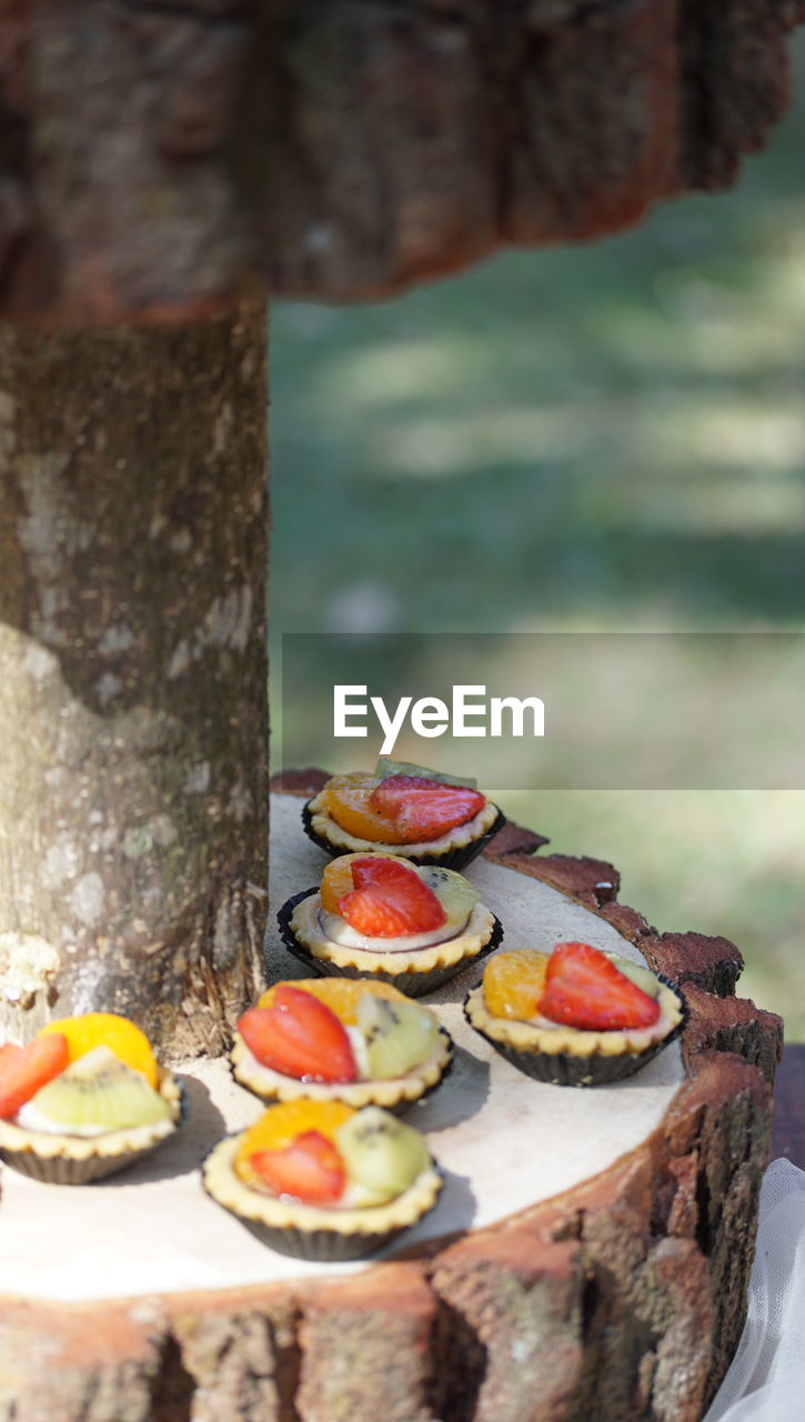 CLOSE-UP OF FRUITS IN PLATE ON TREE