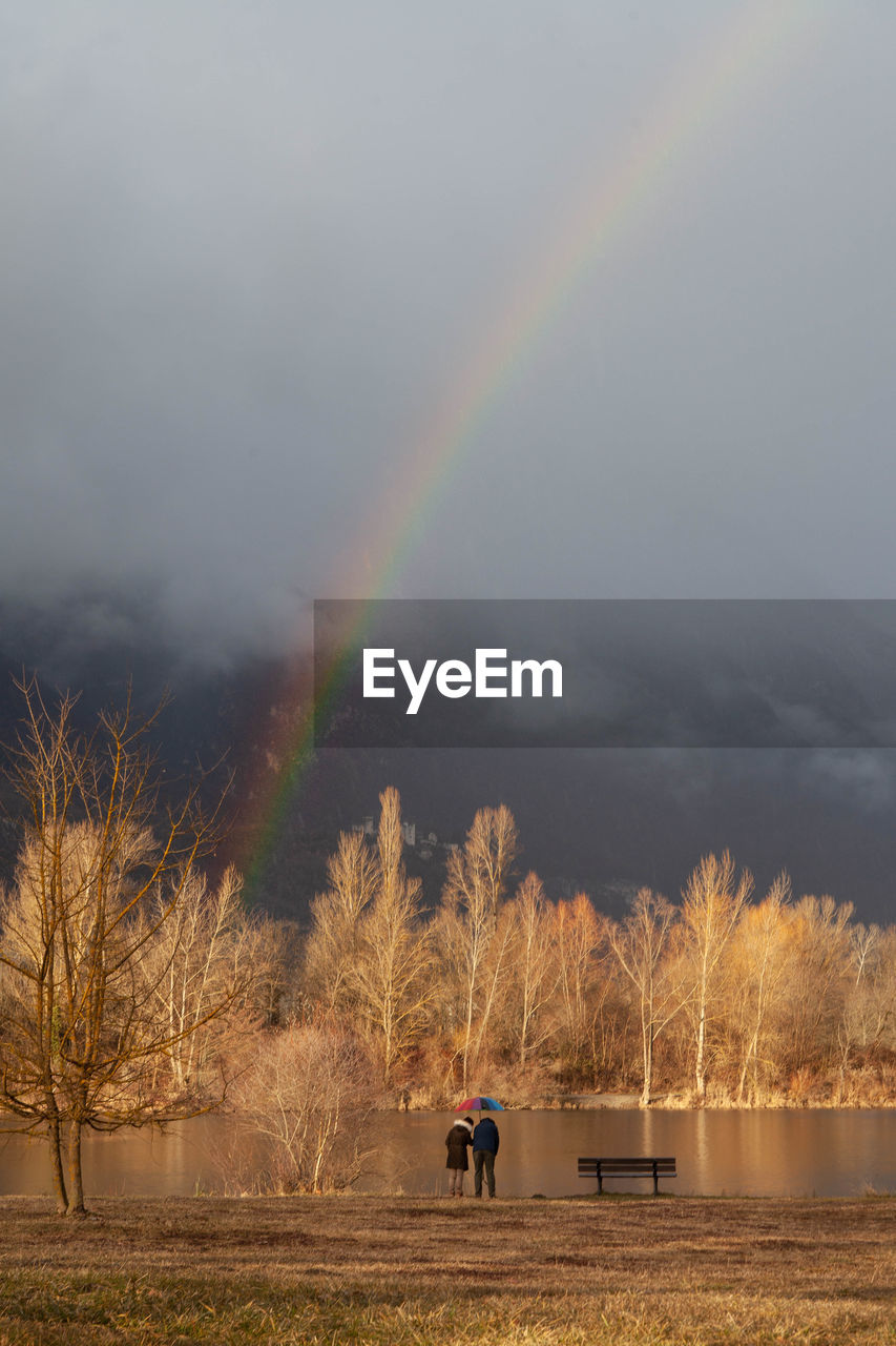 rainbow, beauty in nature, tree, sky, nature, cloud, environment, scenics - nature, plant, morning, landscape, land, multi colored, tranquility, water, tranquil scene, autumn, idyllic, sunlight, winter, outdoors, dawn, double rainbow, rural scene, non-urban scene, mountain, wet, day, fog, mist, cold temperature, field, rain, storm, no people, bare tree