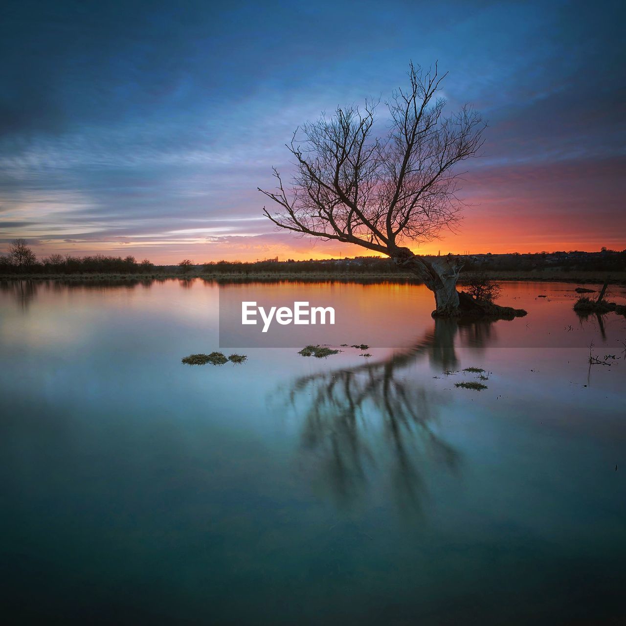 Bare tree on lake against cloudy sky during sunset