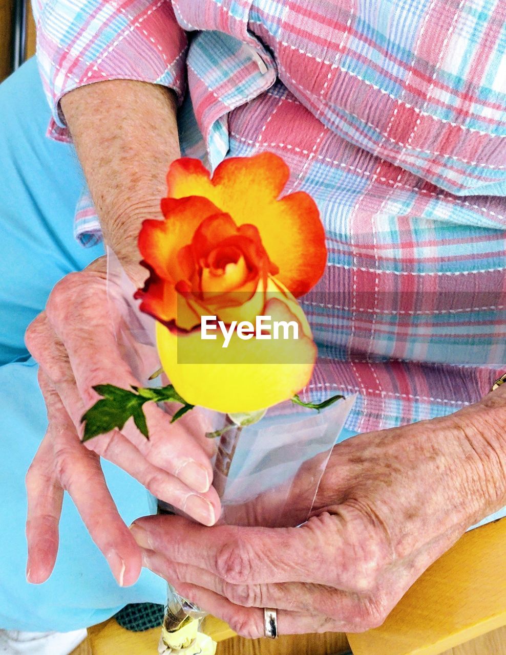 MIDSECTION OF MAN HOLDING FLOWERS