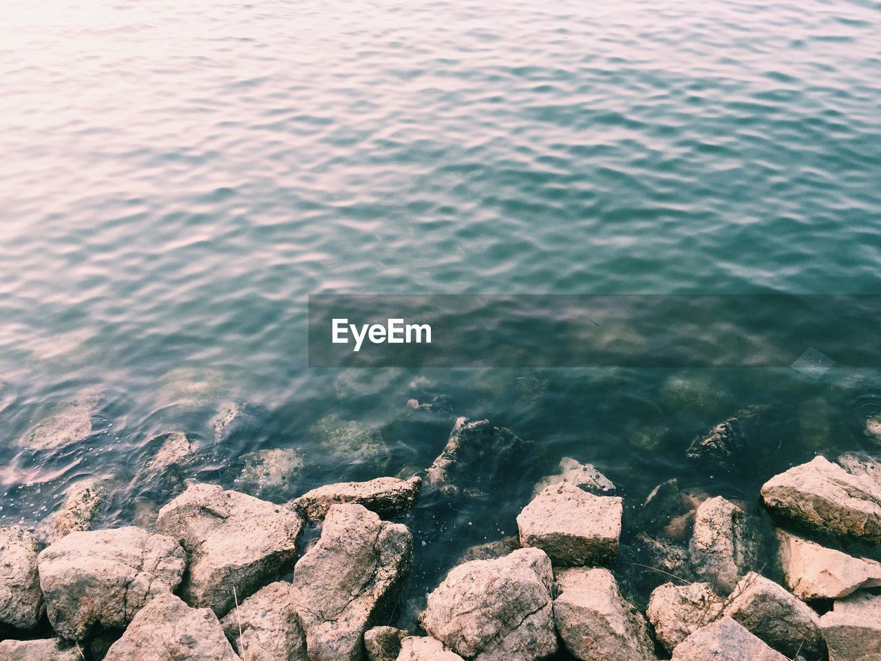 Close-up of rocks in sea
