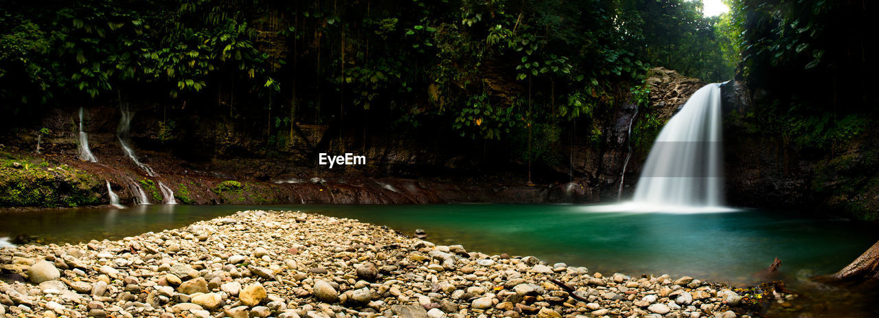 SCENIC VIEW OF RIVER FLOWING IN FOREST