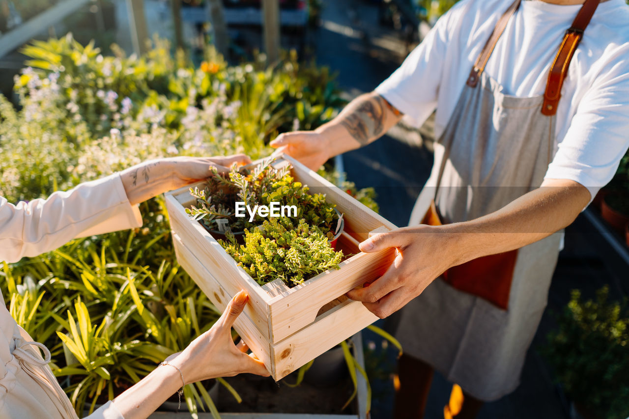 Gardener selling a box of plants to customer. e-commerce, online order concept.
