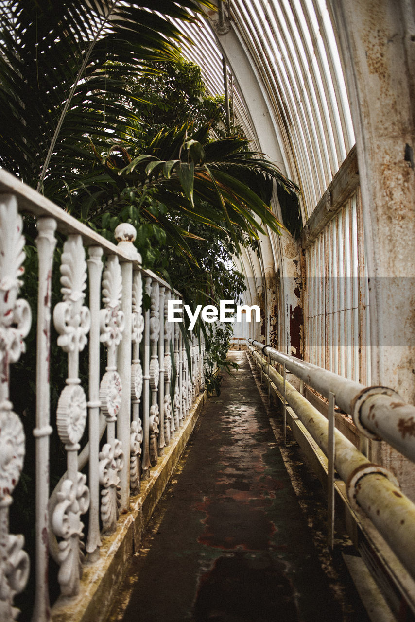 EMPTY WALKWAY AMIDST BUILDINGS