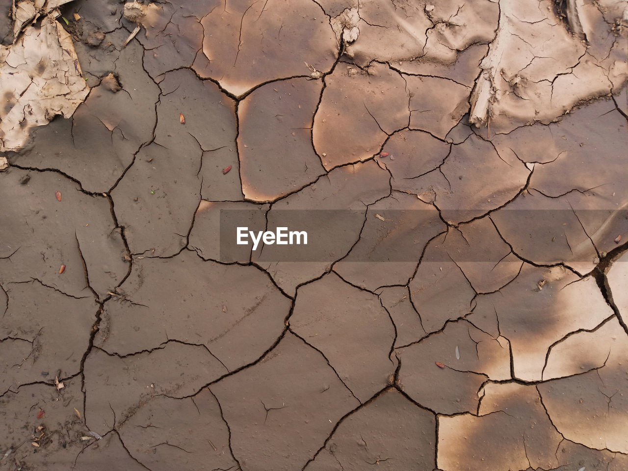 HIGH ANGLE VIEW OF CRACKED LAND ON DRY LEAVES