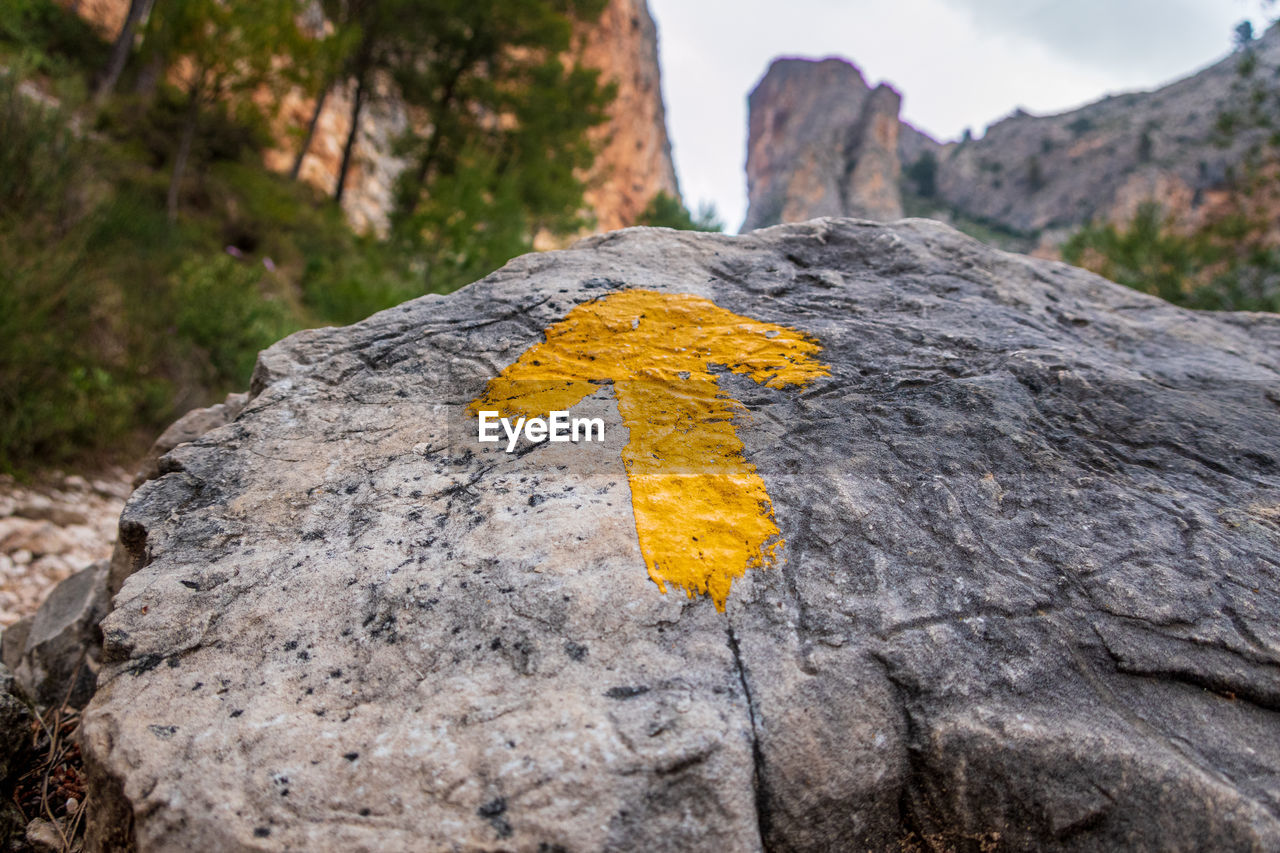 Arrow painted on a rock in the forest to guide hikers in the outdoors.