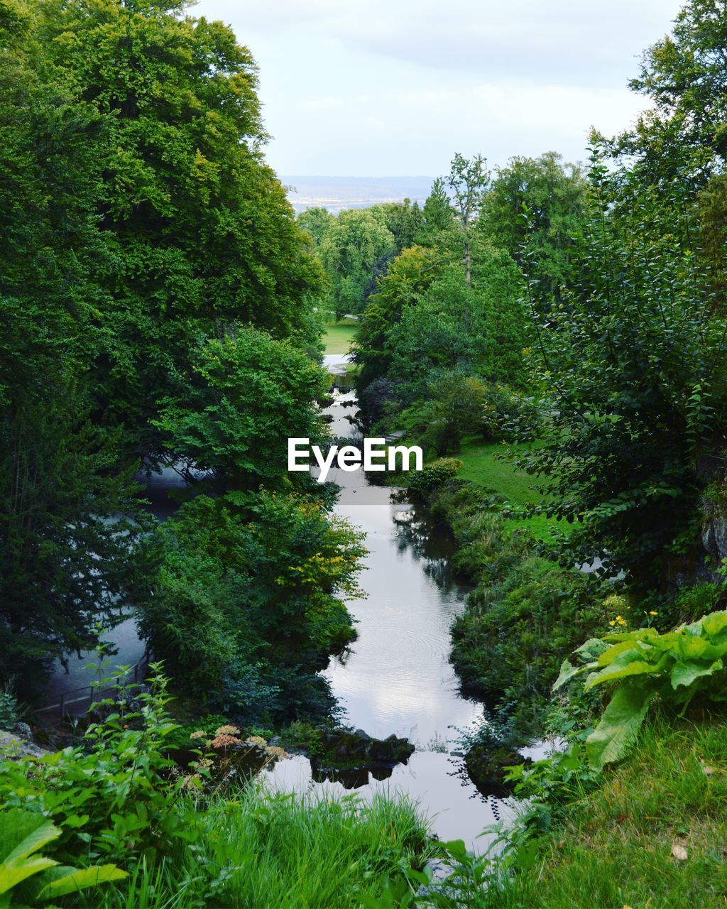 RIVER FLOWING AMIDST TREES AGAINST SKY