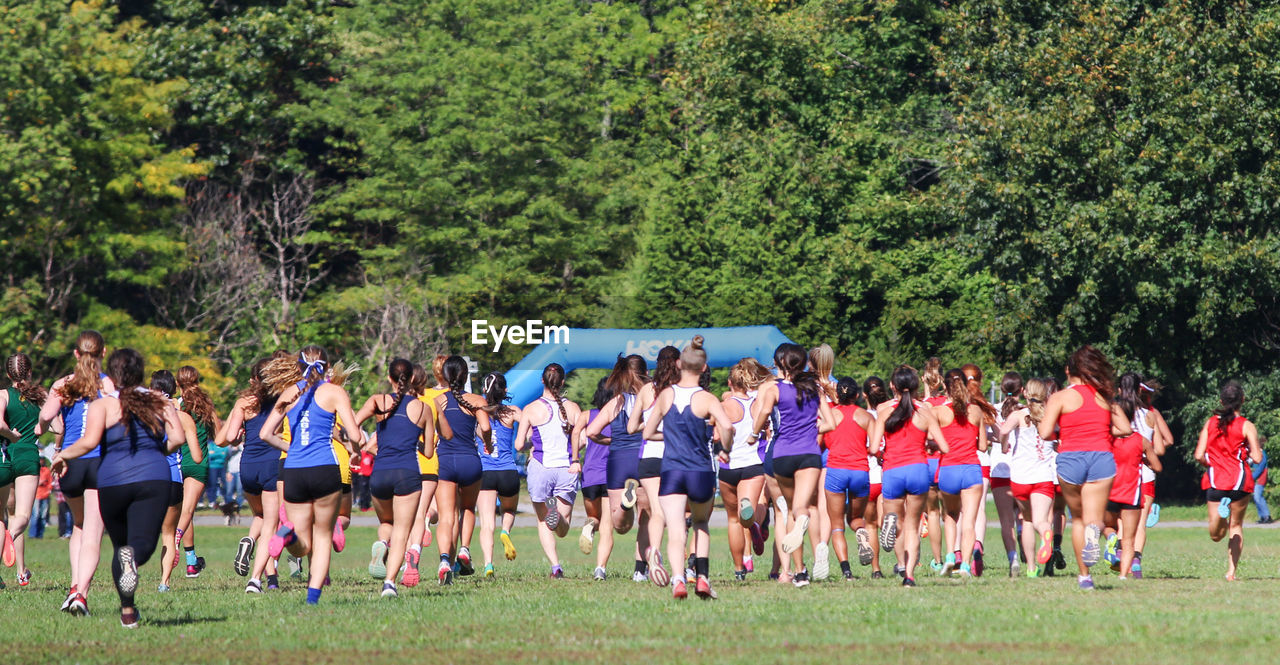 plant, group of people, cross country running, tree, sports, crowd, large group of people, grass, men, day, nature, green, person, competition, lifestyles, running, recreation, sports clothing, exercising, clothing, women, athlete, togetherness, teamwork, adult, child, team, outdoors, cooperation, race, leisure activity, full length, track and field event, childhood, competitive sport, endurance sports
