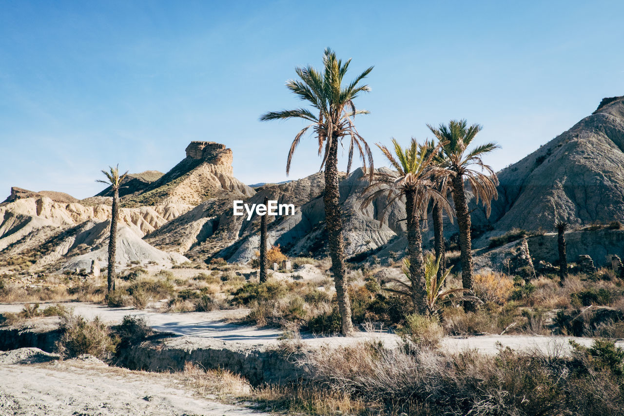 Scenic view of landscape against clear sky