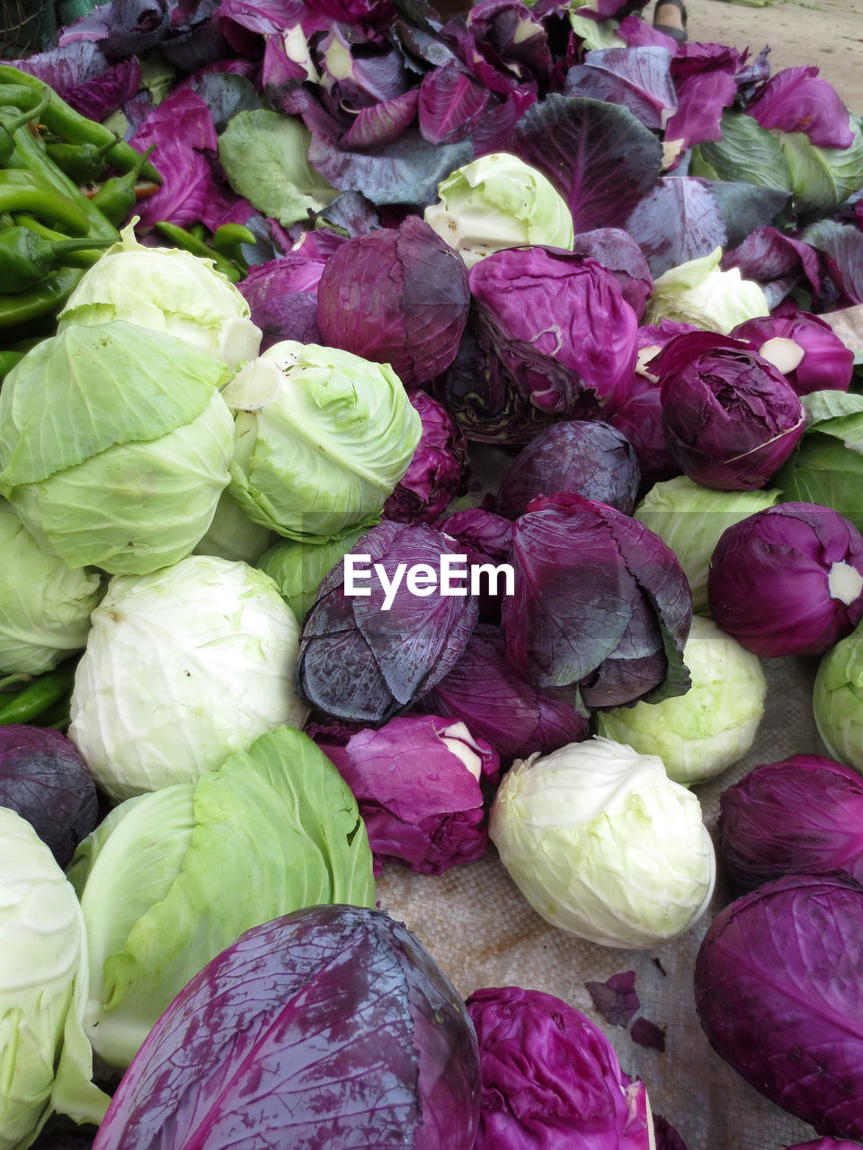 FULL FRAME SHOT OF PURPLE AND VEGETABLES