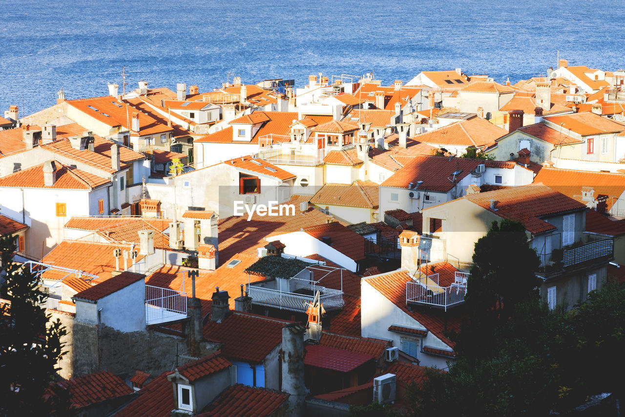 Red roofs of old town piran with main church against the sunrise sky, adriatic sea. slovenia